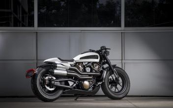 Harley Custom 1250